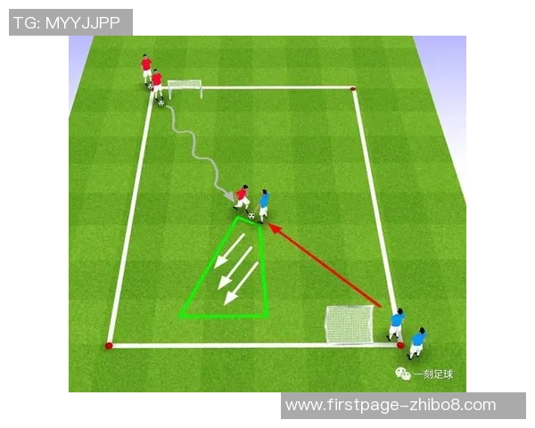 从零基础到篮球耐力高手的全面训练指南与实用技巧分享